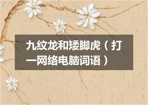 九纹龙和矮脚虎（打一网络电脑词语）