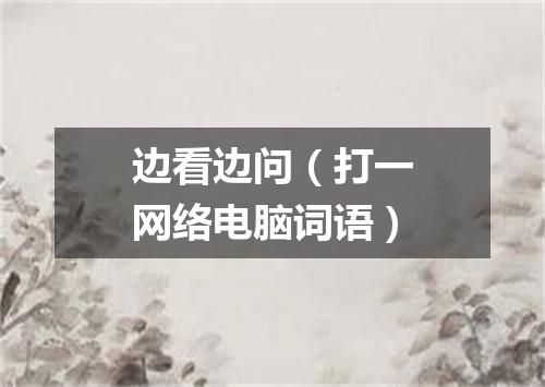 边看边问（打一网络电脑词语）