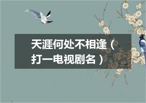 天涯何处不相逢（打一电视剧名）