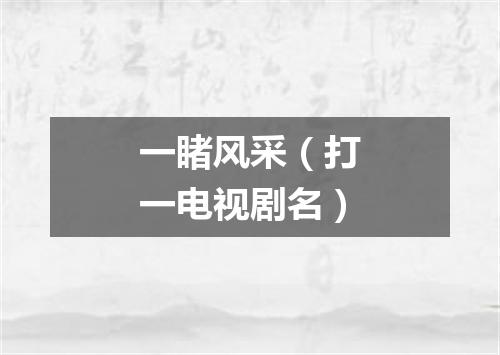 一睹风采（打一电视剧名）