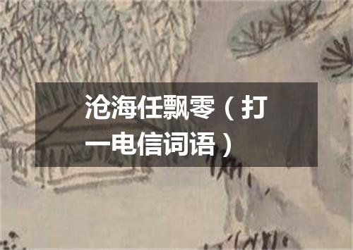 沧海任飘零（打一电信词语）