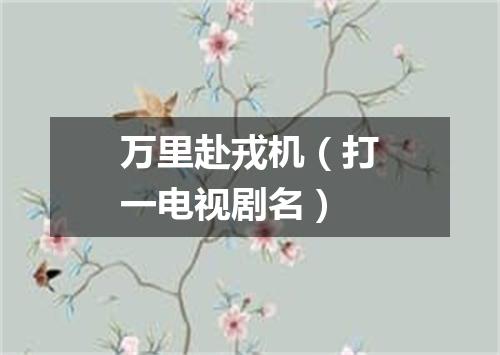 万里赴戎机（打一电视剧名）