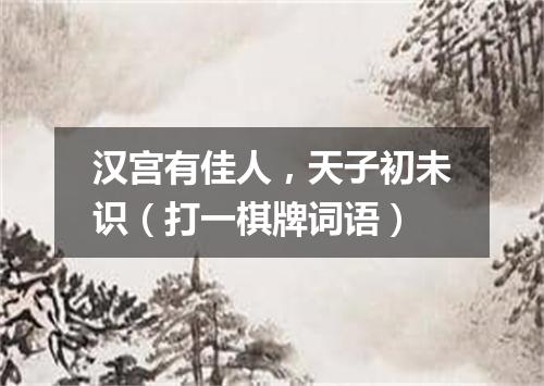 汉宫有佳人，天子初未识（打一棋牌词语）