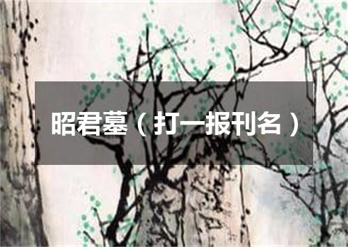 昭君墓（打一报刊名）
