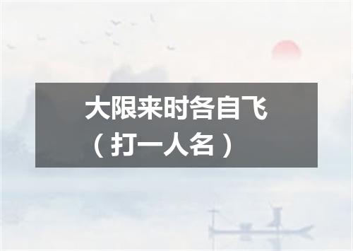 大限来时各自飞（打一人名）