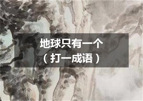 地球只有一个（打一成语）