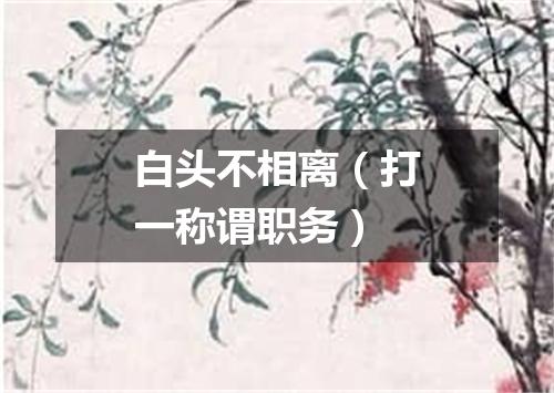 白头不相离（打一称谓职务）