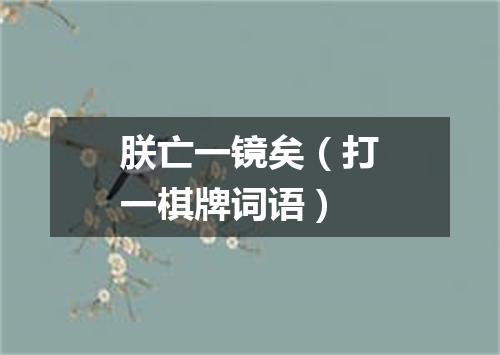 朕亡一镜矣（打一棋牌词语）