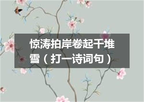 惊涛拍岸卷起千堆雪（打一诗词句）