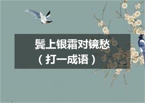 鬓上银霜对镜愁（打一成语）