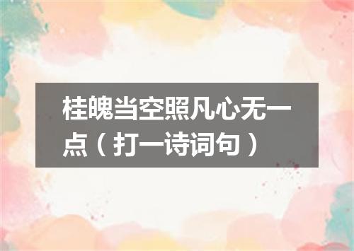 桂魄当空照凡心无一点（打一诗词句）
