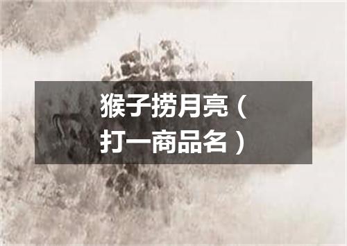 猴子捞月亮（打一商品名）