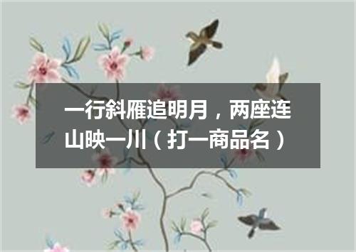 一行斜雁追明月，两座连山映一川（打一商品名）