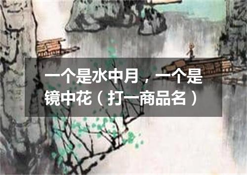 一个是水中月，一个是镜中花（打一商品名）