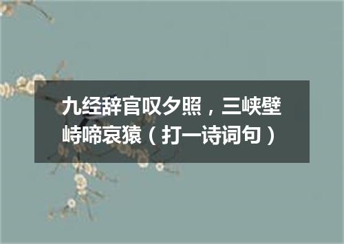 九经辞官叹夕照，三峡壁峙啼哀猿（打一诗词句）