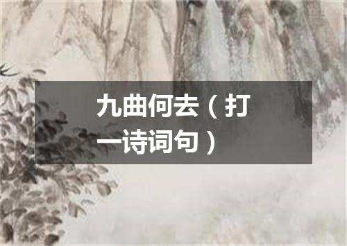 九曲何去（打一诗词句）