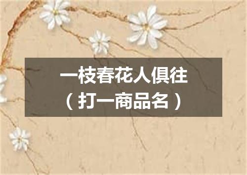 一枝春花人俱往（打一商品名）