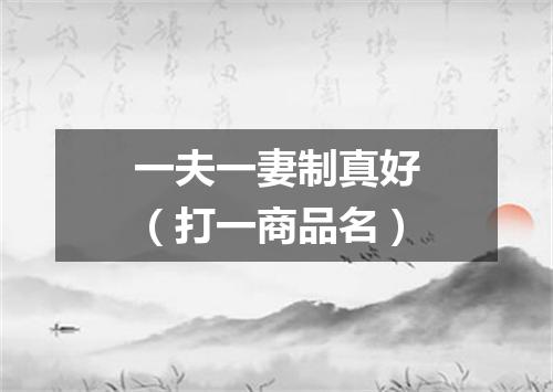 一夫一妻制真好（打一商品名）