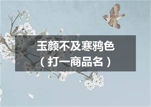 玉颜不及寒鸦色（打一商品名）