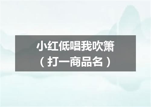 小红低唱我吹箫（打一商品名）