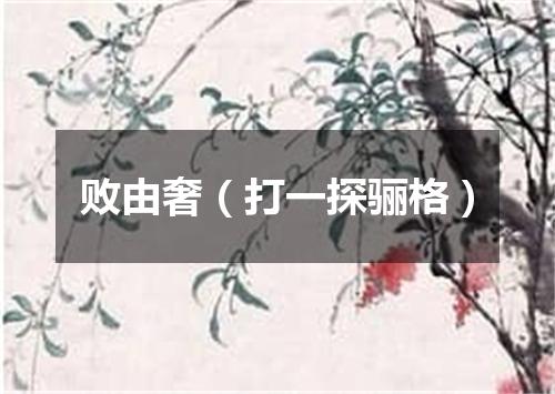 败由奢（打一探骊格）
