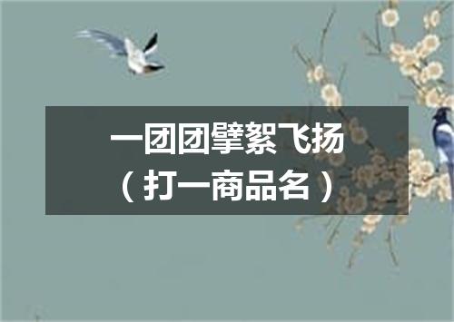 一团团擘絮飞扬（打一商品名）
