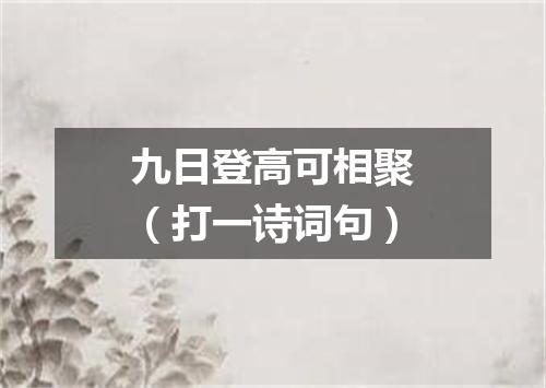 九日登高可相聚（打一诗词句）