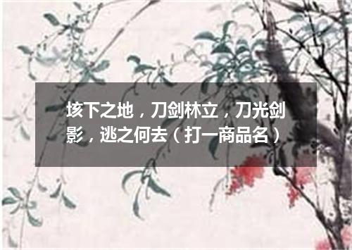垓下之地，刀剑林立，刀光剑影，逃之何去（打一商品名）