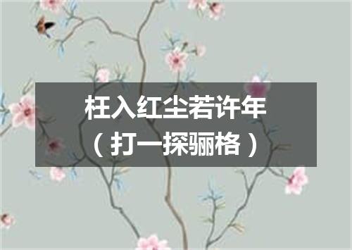 枉入红尘若许年（打一探骊格）