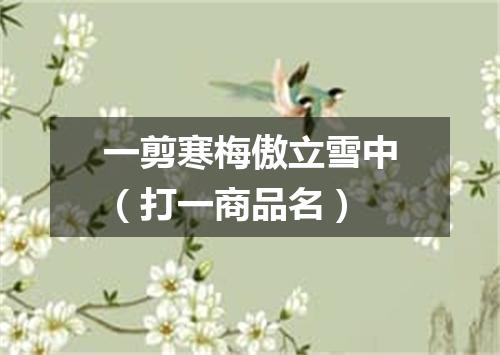 一剪寒梅傲立雪中（打一商品名）