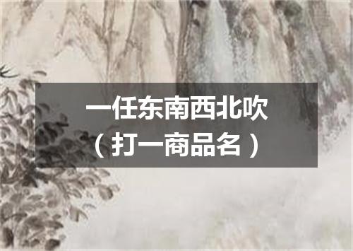 一任东南西北吹（打一商品名）