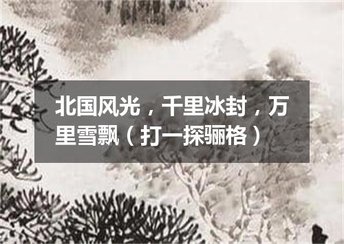 北国风光，千里冰封，万里雪飘（打一探骊格）