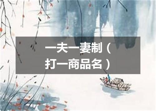 一夫一妻制（打一商品名）