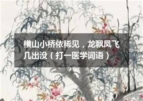 横山小桥依稀见，龙飘凤飞几出没（打一医学词语）