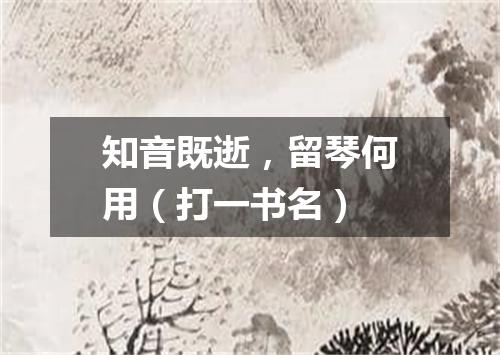 知音既逝，留琴何用（打一书名）