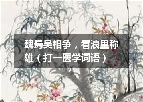 魏蜀吴相争，看浪里称雄（打一医学词语）