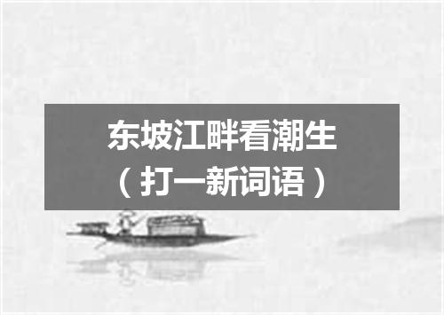 东坡江畔看潮生（打一新词语）