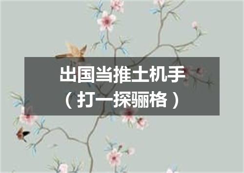出国当推土机手（打一探骊格）