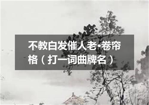 不教白发催人老·卷帘格（打一词曲牌名）