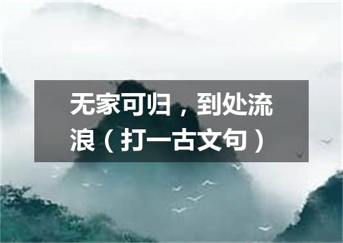 无家可归，到处流浪（打一古文句）