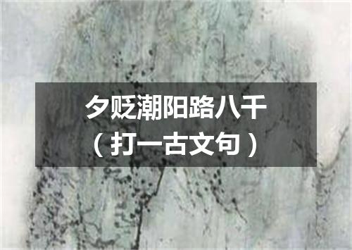 夕贬潮阳路八千（打一古文句）