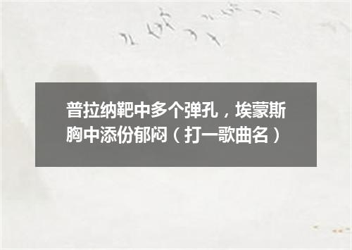 普拉纳靶中多个弹孔，埃蒙斯胸中添份郁闷（打一歌曲名）