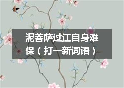 泥菩萨过江自身难保（打一新词语）