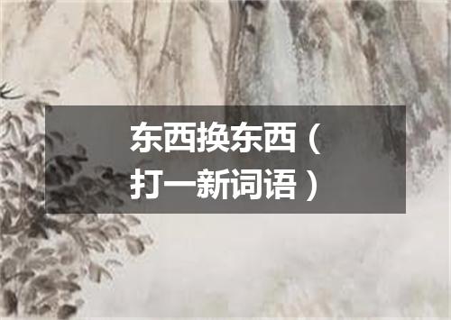 东西换东西（打一新词语）