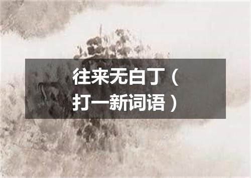 往来无白丁（打一新词语）