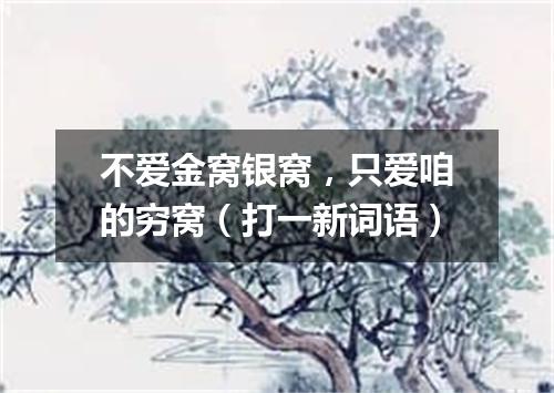 不爱金窝银窝，只爱咱的穷窝（打一新词语）