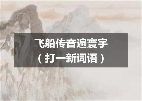 飞船传音遍寰宇（打一新词语）