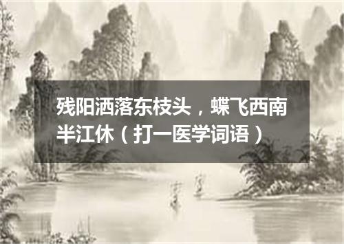残阳洒落东枝头，蝶飞西南半江休（打一医学词语）