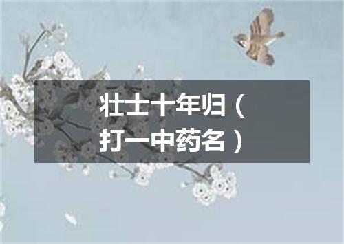 壮士十年归（打一中药名）