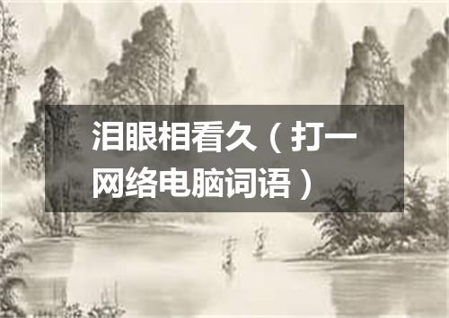泪眼相看久（打一网络电脑词语）